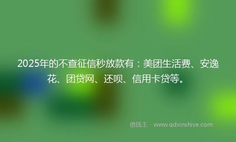 2025年的不查征信秒放款有：美团生活费、安逸花、团贷网、还呗、信用卡贷等。