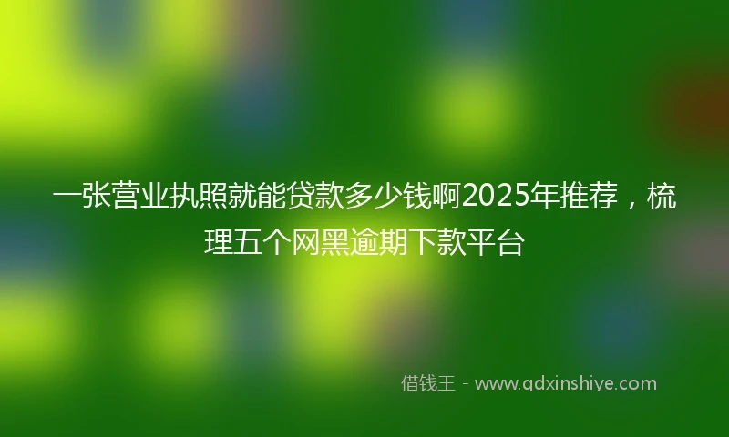 一张营业执照就能贷款多少钱啊2025年推荐，梳理五个网黑逾期下款平台