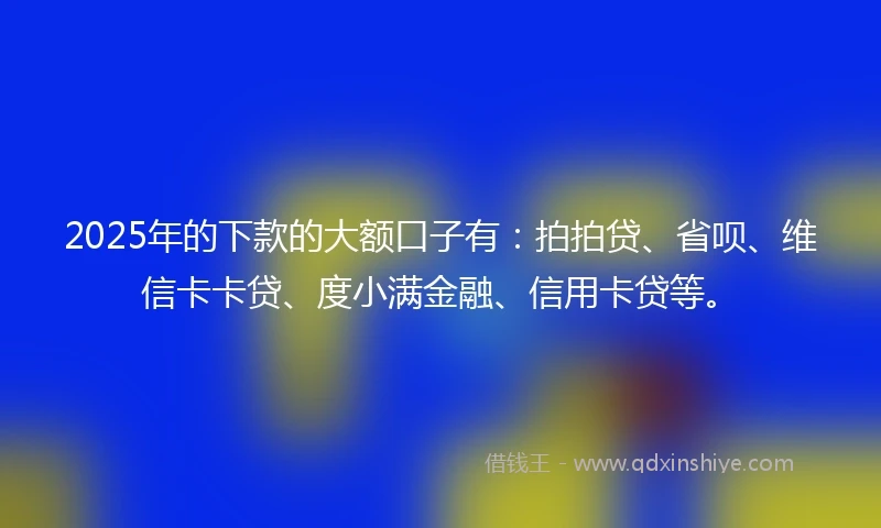 2025年的下款的大额口子有：拍拍贷、省呗、维信卡卡贷、度小满金融、信用卡贷等。