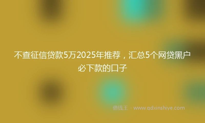 不查征信贷款5万2025年推荐，汇总5个网贷黑户必下款的口子