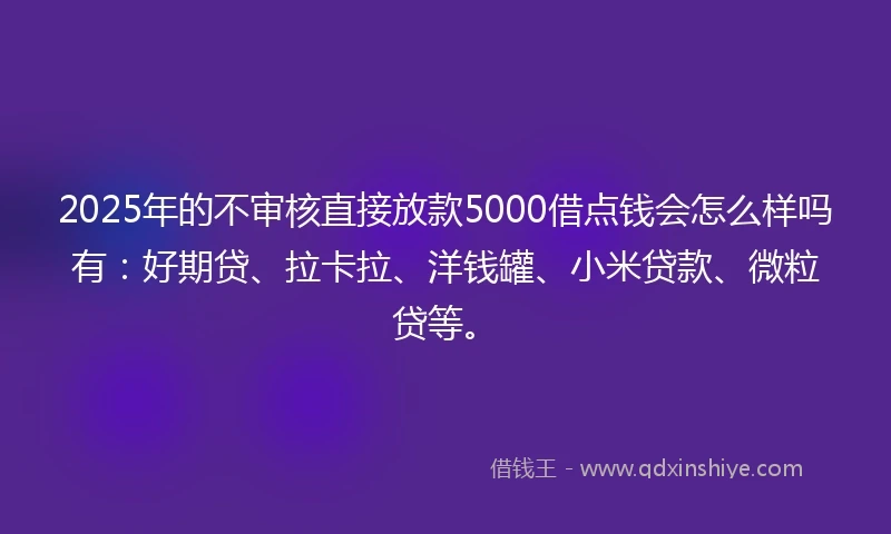 2025年的不审核直接放款5000借点钱会怎么样吗有：好期贷、拉卡拉、洋钱罐、小米贷款、微粒贷等。