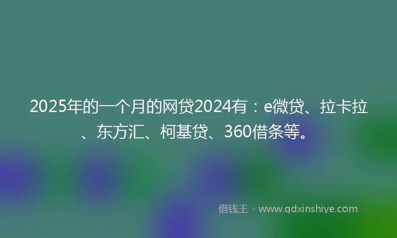 2025年的一个月的网贷2024有：e微贷、拉卡拉、东方汇、柯基贷、360借条等。