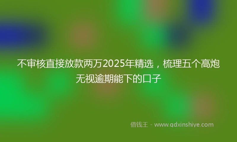 不审核直接放款两万2025年精选,梳理五个高炮无视逾期能下的口子