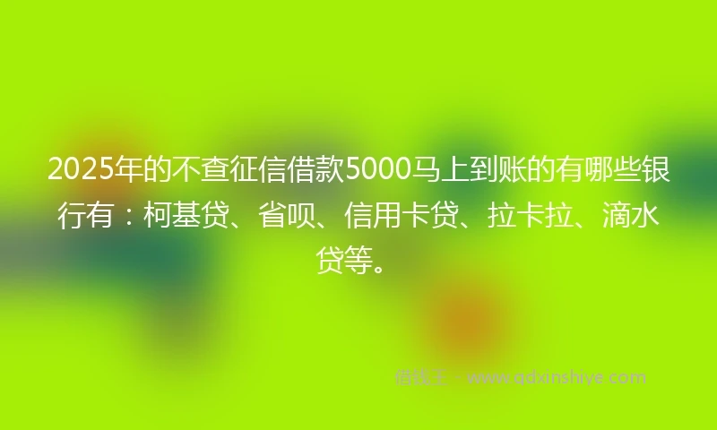2025年的不查征信借款5000马上到账的有哪些银行有：柯基贷、省呗、信用卡贷、拉卡拉、滴水贷等。
