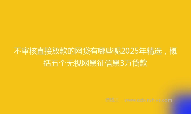 不审核直接放款的网贷有哪些呢2025年精选，概括五个无视网黑征信黑3万贷款