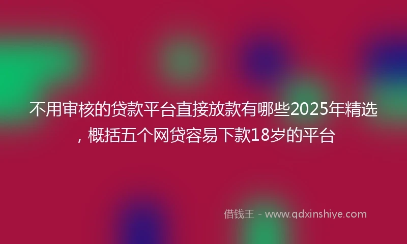 不用审核的贷款平台直接放款有哪些2025年精选，概括五个网贷容易下款18岁的平台