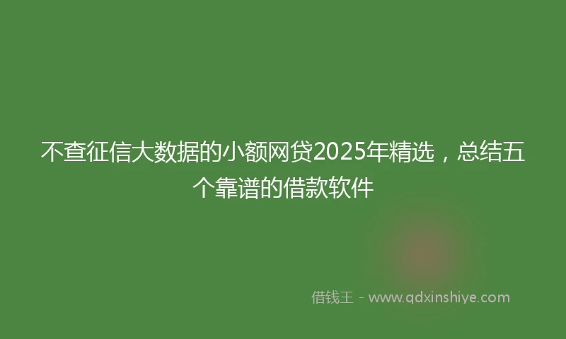 不查征信大数据的小额网贷2025年精选，总结五个靠谱的借款软件