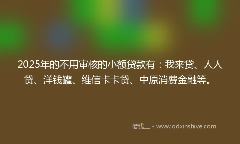 2025年的不用审核的小额贷款有：我来贷、人人贷、洋钱罐、维信卡卡贷、中原消费金融等。