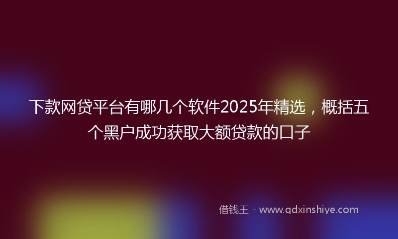 下款网贷平台有哪几个软件2025年精选，概括五个黑户成功获取大额贷款的口子