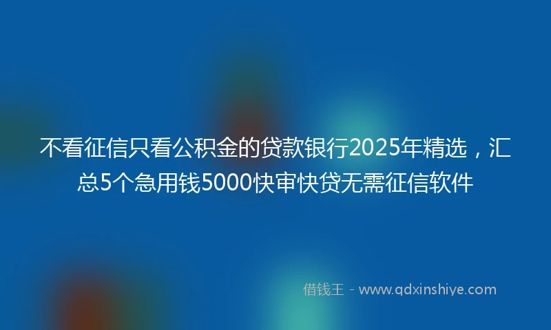 不看征信只看公积金的贷款银行2025年精选，汇总5个急用钱5000快审快贷无需征信软件
