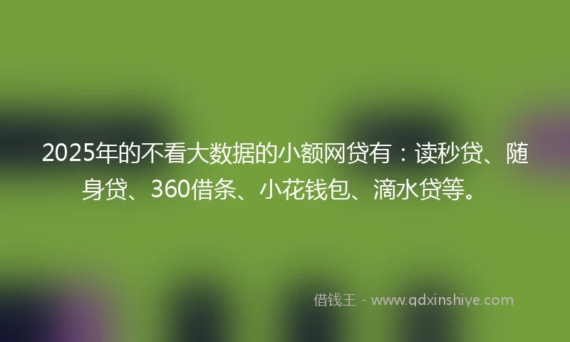 2025年的不看大数据的小额网贷有：读秒贷、随身贷、360借条、小花钱包、滴水贷等。