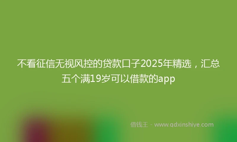 不看征信无视风控的贷款口子2025年精选，汇总五个满19岁可以借款的app