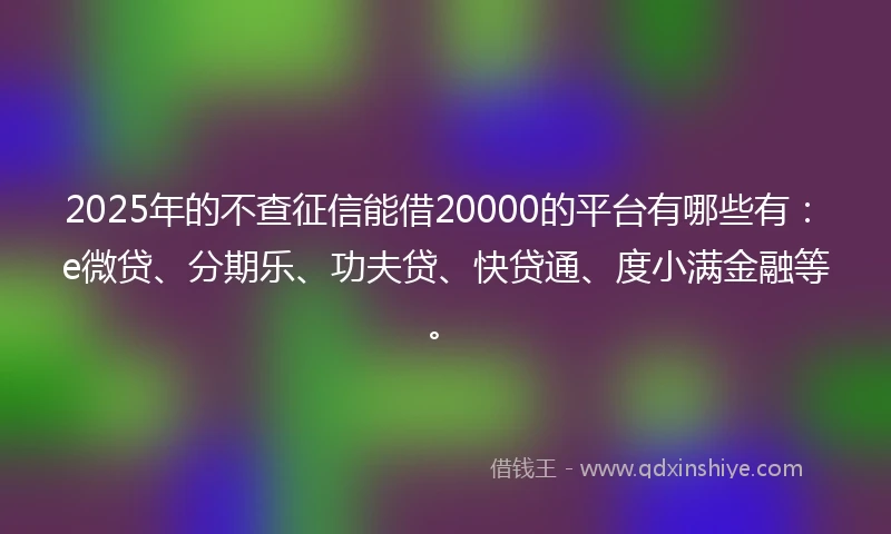 2025年的不查征信能借20000的平台有哪些有：e微贷、分期乐、功夫贷、快贷通、度小满金融等。