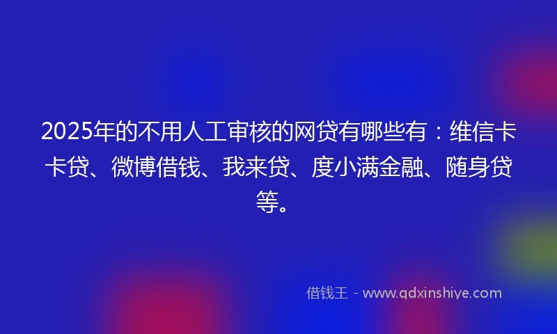 2025年的不用人工审核的网贷有哪些有：维信卡卡贷、微博借钱、我来贷、度小满金融、随身贷等。