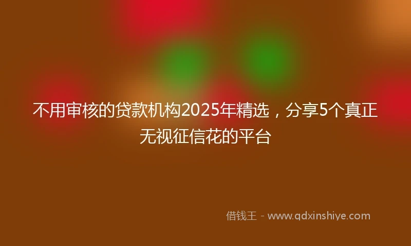 不用审核的贷款机构2025年精选，分享5个真正无视征信花的平台