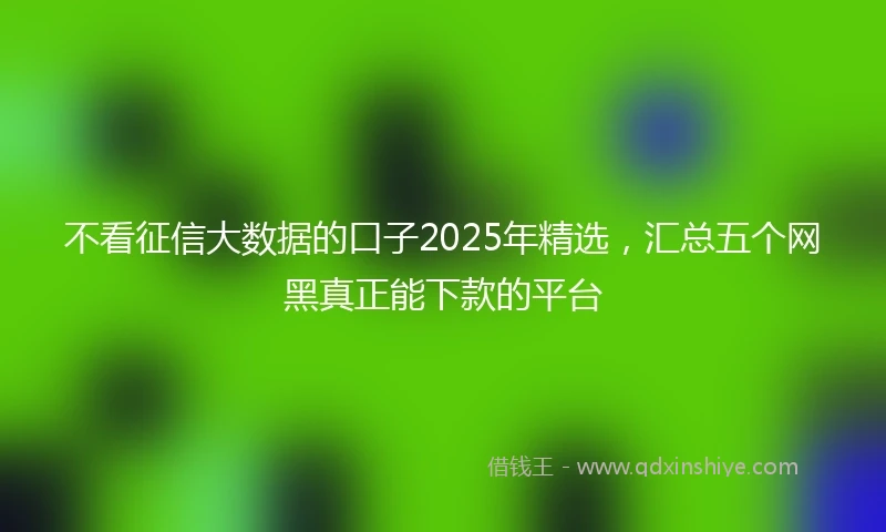 不看征信大数据的口子2025年精选，汇总五个网黑真正能下款的平台