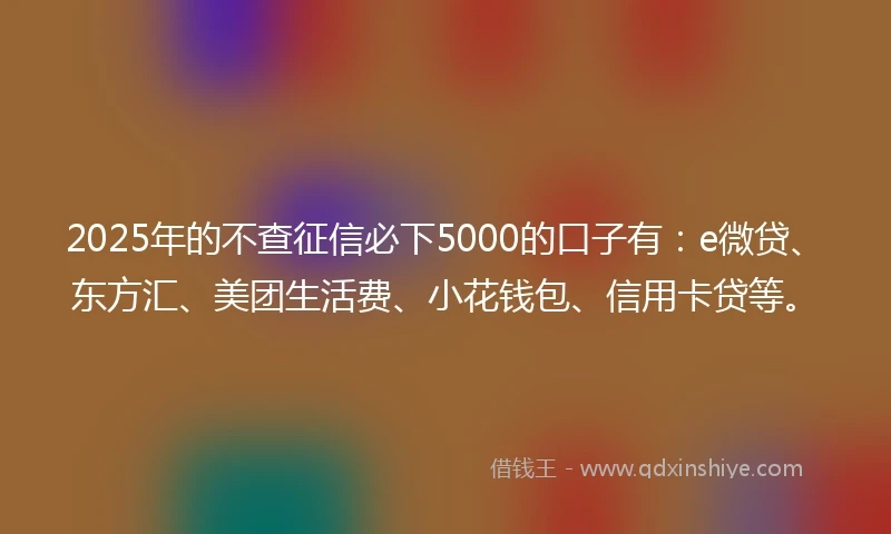 2025年的不查征信必下5000的口子有：e微贷、东方汇、美团生活费、小花钱包、信用卡贷等。