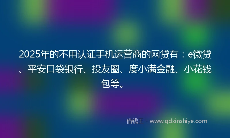 2025年的不用认证手机运营商的网贷有：e微贷、平安口袋银行、投友圈、度小满金融、小花钱包等。