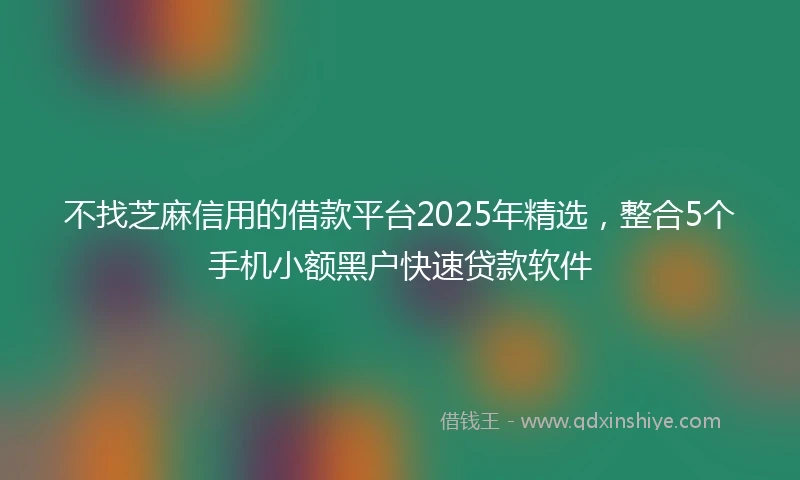 不找芝麻信用的借款平台2025年精选，整合5个手机小额黑户快速贷款软件