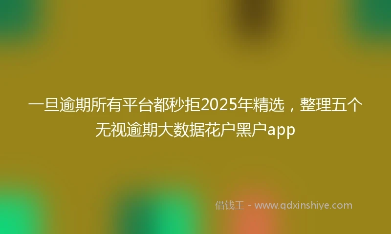 一旦逾期所有平台都秒拒2025年精选，整理五个无视逾期大数据花户黑户app