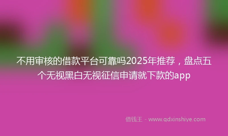 不用审核的借款平台可靠吗2025年推荐，盘点五个无视黑白无视征信申请就下款的app