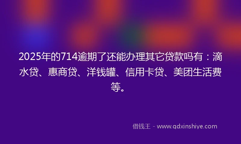 2025年的714逾期了还能办理其它贷款吗有：滴水贷、惠商贷、洋钱罐、信用卡贷、美团生活费等。
