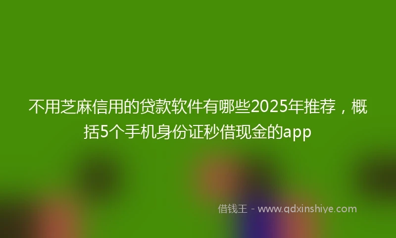 不用芝麻信用的贷款软件有哪些2025年推荐，概括5个手机身份证秒借现金的app