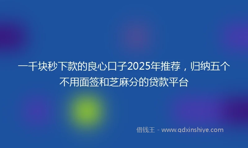 一千块秒下款的良心口子2025年推荐，归纳五个不用面签和芝麻分的贷款平台