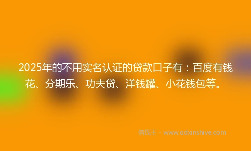 2025年的不用实名认证的贷款口子有：百度有钱花、分期乐、功夫贷、洋钱罐、小花钱包等。