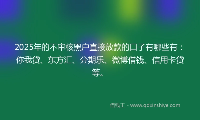 2025年的不审核黑户直接放款的口子有哪些有：你我贷、东方汇、分期乐、微博借钱、信用卡贷等。