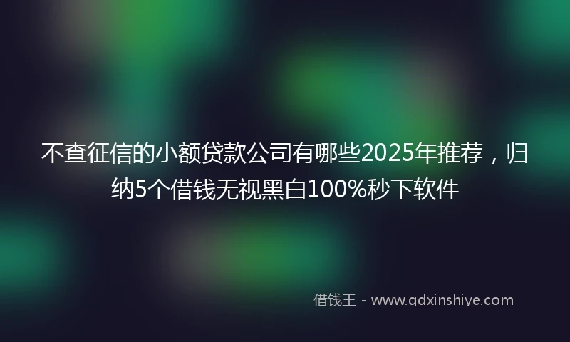 不查征信的小额贷款公司有哪些2025年推荐，归纳5个借钱无视黑白100%秒下软件