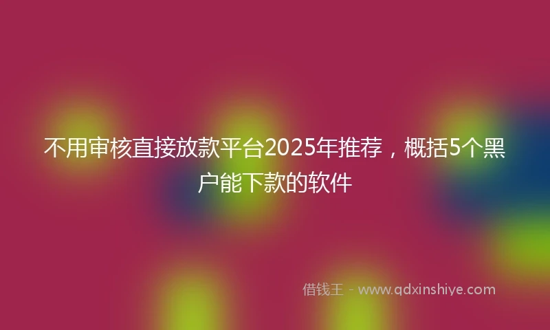 不用审核直接放款平台2025年推荐，概括5个黑户能下款的软件