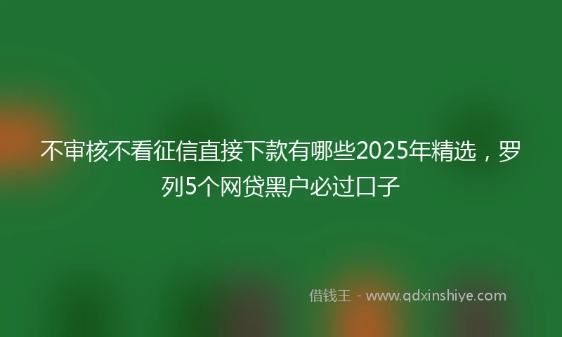 不审核不看征信直接下款有哪些2025年精选，罗列5个网贷黑户必过口子