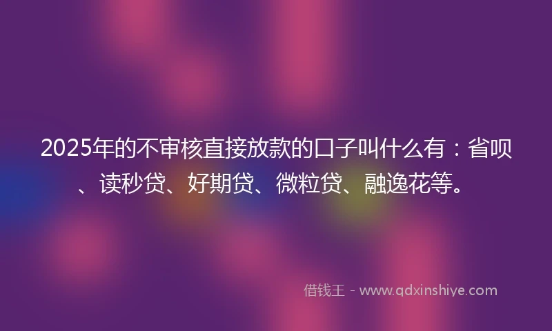 2025年的不审核直接放款的口子叫什么有：省呗、读秒贷、好期贷、微粒贷、融逸花等。