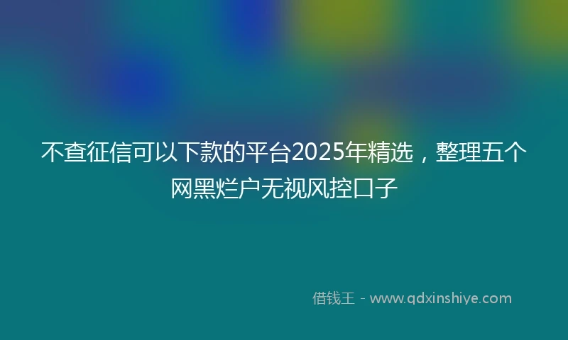 不查征信可以下款的平台2025年精选，整理五个网黑烂户无视风控口子