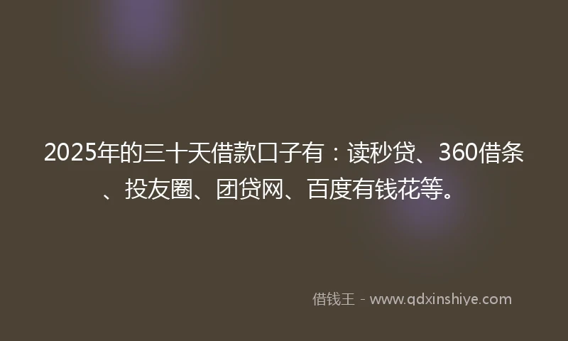 2025年的三十天借款口子有：读秒贷、360借条、投友圈、团贷网、百度有钱花等。