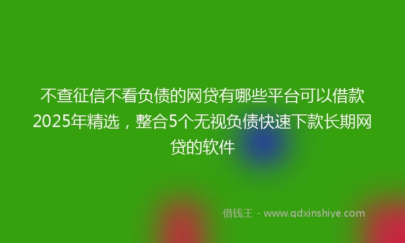 不查征信不看负债的网贷有哪些平台可以借款2025年精选,整合5个无视负债快速下款长期网贷的软件