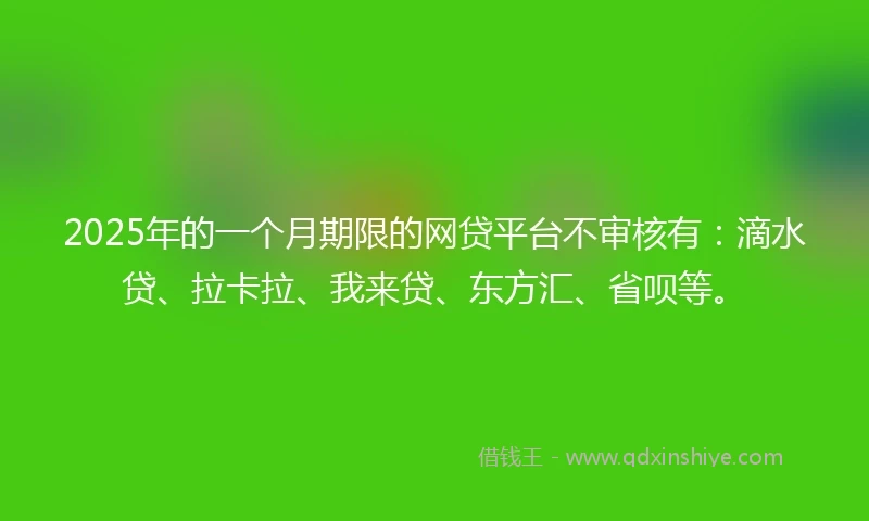 2025年的一个月期限的网贷平台不审核有：滴水贷、拉卡拉、我来贷、东方汇、省呗等。