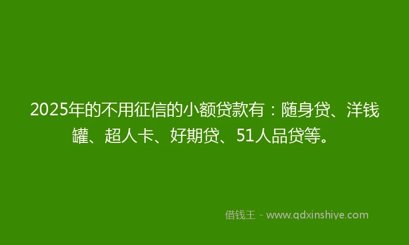 2025年的不用征信的小额贷款有：随身贷、洋钱罐、超人卡、好期贷、51人品贷等。