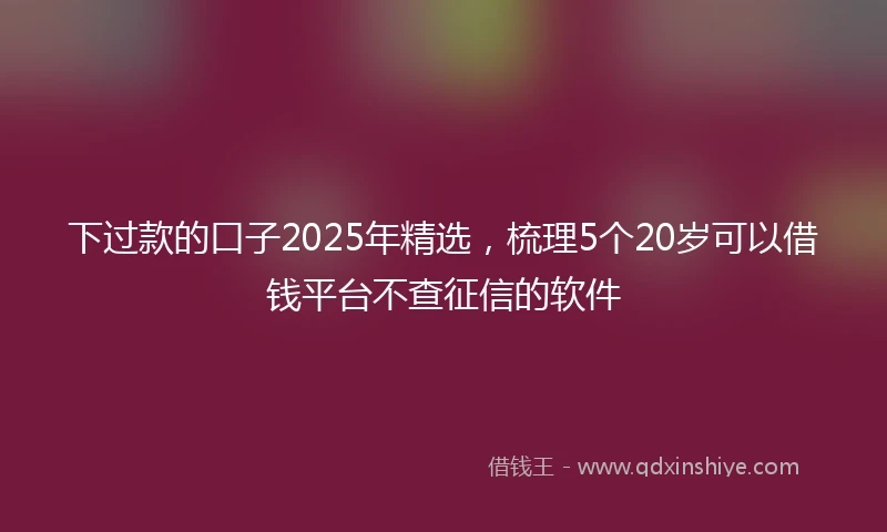 下过款的口子2025年精选，梳理5个20岁可以借钱平台不查征信的软件