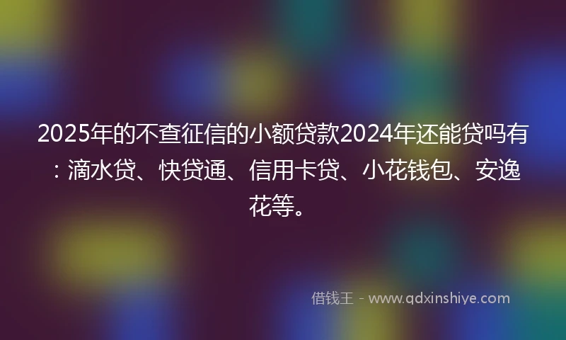 2025年的不查征信的小额贷款2024年还能贷吗有：滴水贷、快贷通、信用卡贷、小花钱包、安逸花等。