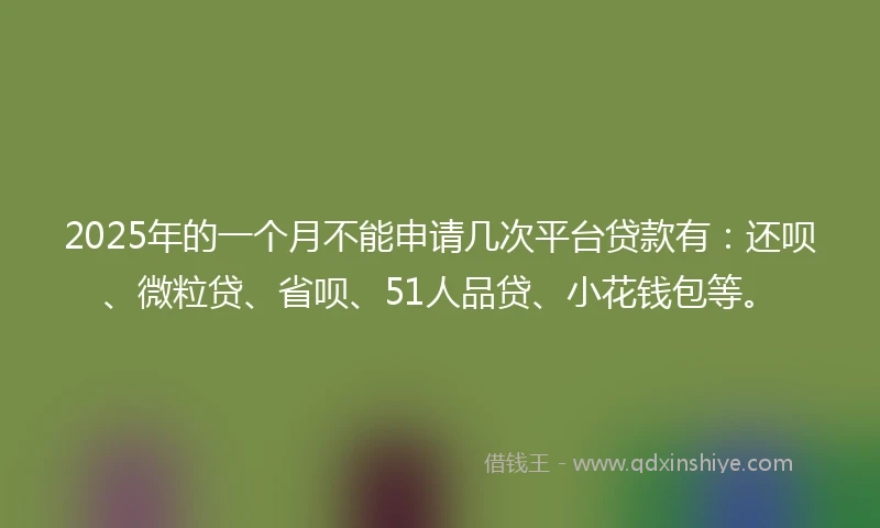 2025年的一个月不能申请几次平台贷款有：还呗、微粒贷、省呗、51人品贷、小花钱包等。