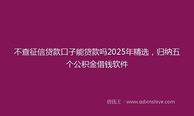 不查征信贷款口子能贷款吗2025年精选，归纳五个公积金借钱软件