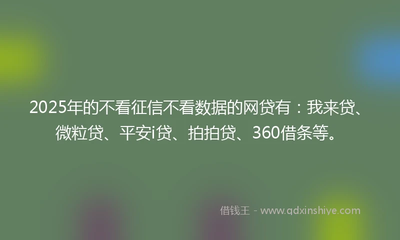 2025年的不看征信不看数据的网贷有：我来贷、微粒贷、平安i贷、拍拍贷、360借条等。