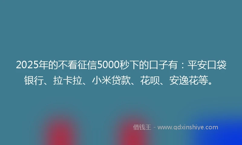 2025年的不看征信5000秒下的口子有：平安口袋银行、拉卡拉、小米贷款、花呗、安逸花等。