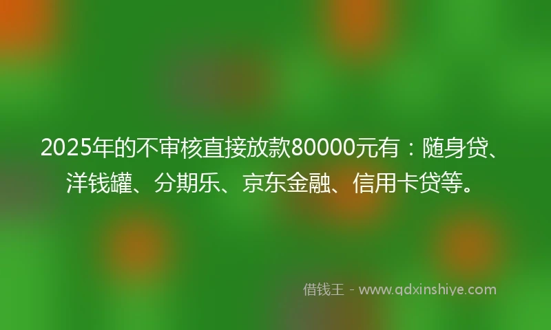 2025年的不审核直接放款80000元有：随身贷、洋钱罐、分期乐、京东金融、信用卡贷等。