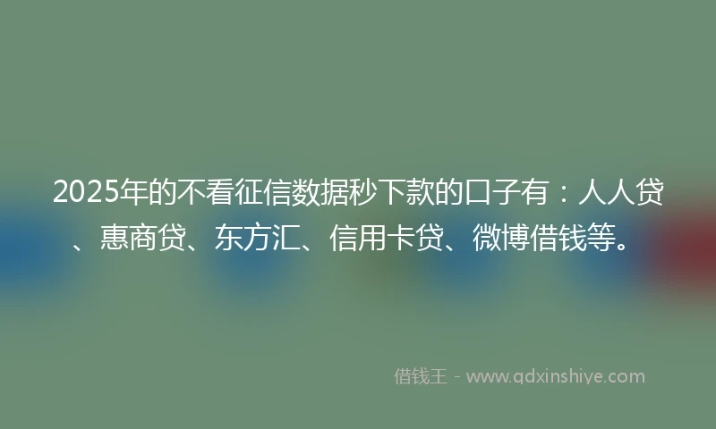 2025年的不看征信数据秒下款的口子有：人人贷、惠商贷、东方汇、信用卡贷、微博借钱等。