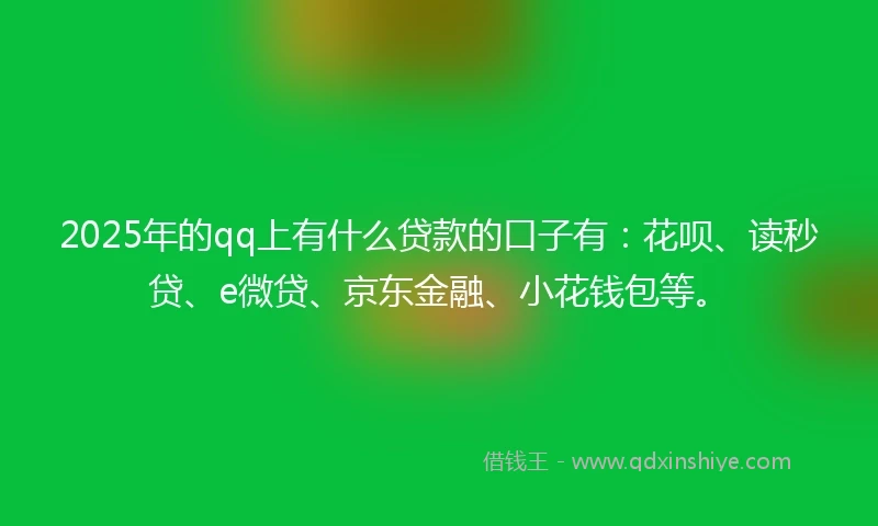 2025年的qq上有什么贷款的口子有：花呗、读秒贷、e微贷、京东金融、小花钱包等。