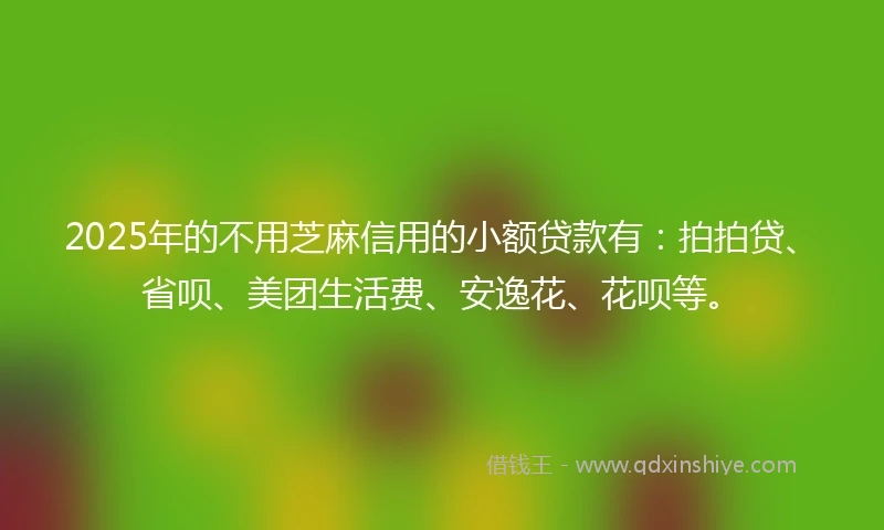 2025年的不用芝麻信用的小额贷款有：拍拍贷、省呗、美团生活费、安逸花、花呗等。