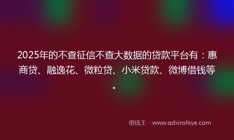 2025年的不查征信不查大数据的贷款平台有：惠商贷、融逸花、微粒贷、小米贷款、微博借钱等。